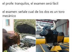 Enlace a Pregunta trampa