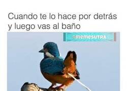 Enlace a Muy gráfico