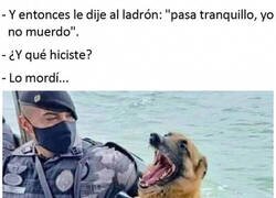 Enlace a Que gracioso el Rex