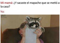 Enlace a Ahora tiene nombre y baño propio