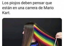 Enlace a Senda arcoíris