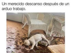 Enlace a No me sentao' en todo el día...