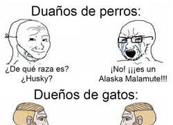 Enlace a Raza gatuna
