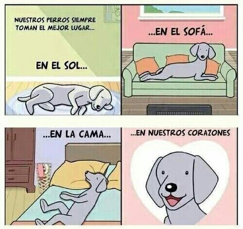 Allthethings - Una bonita historia