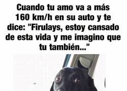 Enlace a Humano, a mí no me metas