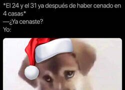 Enlace a Días de estómago