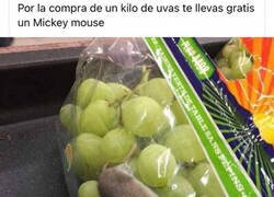 Enlace a Que agradable sorpresa