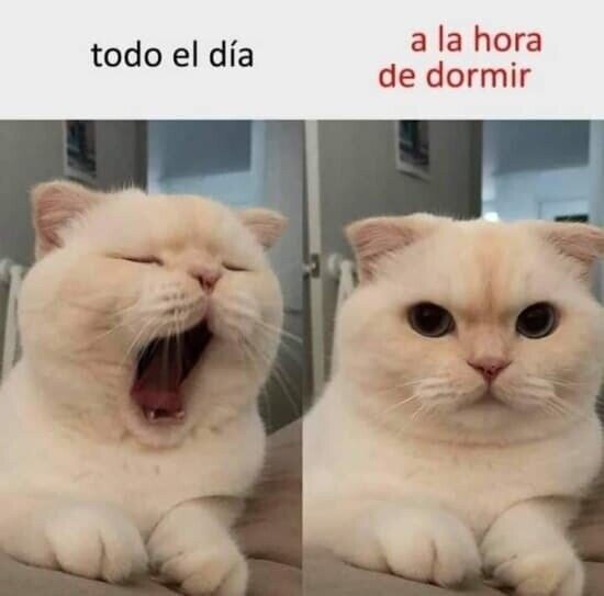 Otros - Siempre me pasa