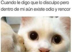 Enlace a Discusiones profundas