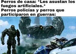 Enlace a Decepción absoluta