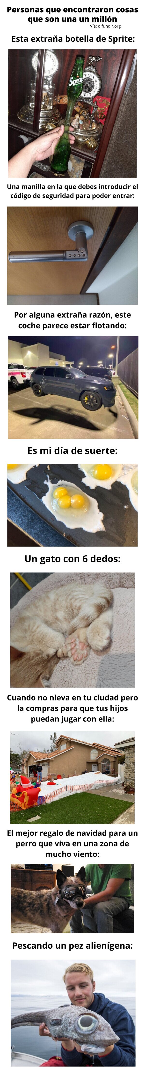 Meme_otros - Personas que encontraron cosas que son una en un millón