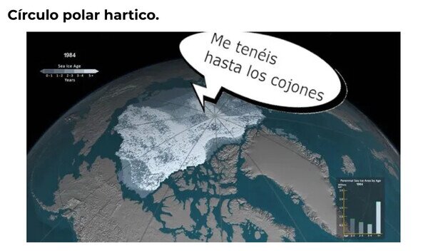Meme_otros - La tontería del día