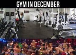 Enlace a Todos a recuperar lo engordado en Navidad