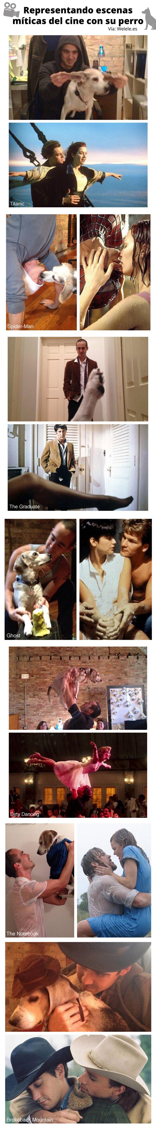 Meme_otros - Representando escenas míticas del cine con su perro