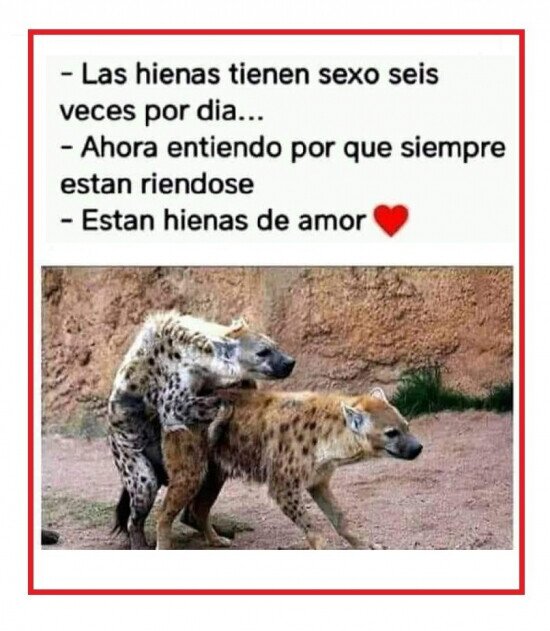 Otros - Así yo también estaría todo el día riendo