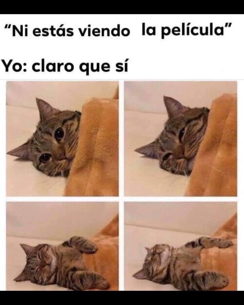 Otros - Entre sueñecito y sueñecito