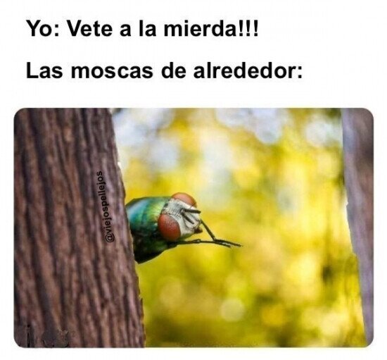 Otros - Eso suena muy bien...