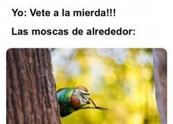 Enlace a Eso suena muy bien...