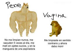 Enlace a Hay partes más delicadas que otras