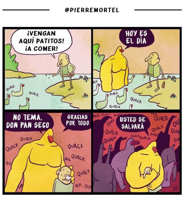 Meme_otros - Poco a poco los fue alimentando