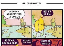 Enlace a Poco a poco los fue alimentando