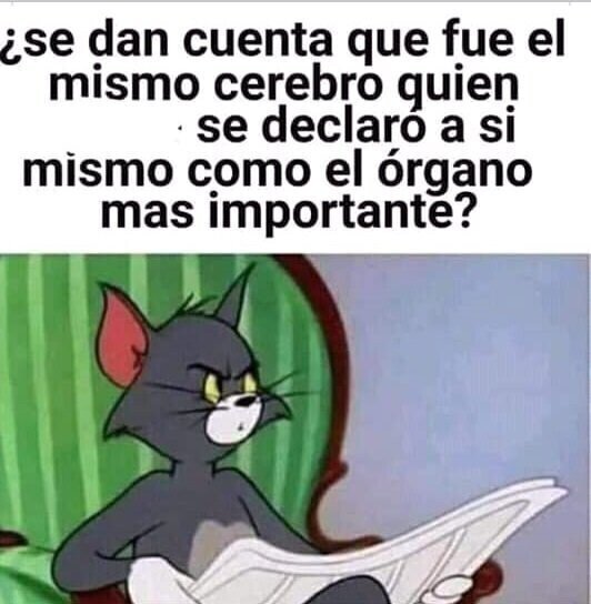 Meme_otros - ¿Es nuestro cuerpo una dictadura del cerebro?