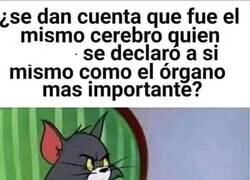 Enlace a ¿Es nuestro cuerpo una dictadura del cerebro?