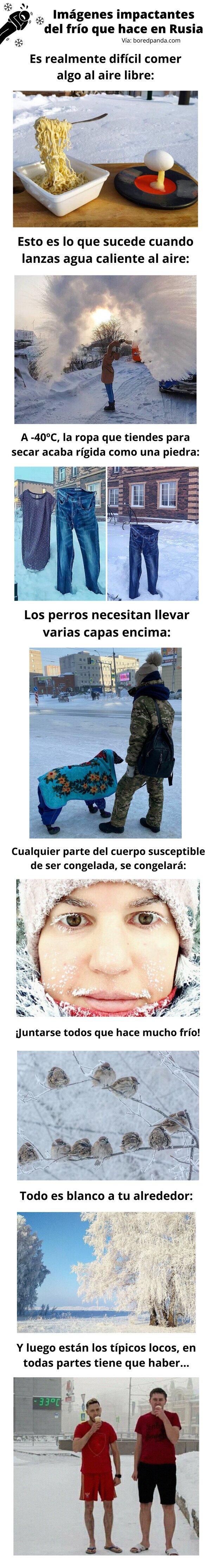 Meme_otros - Imágenes impactantes del frío que hace en Rusia