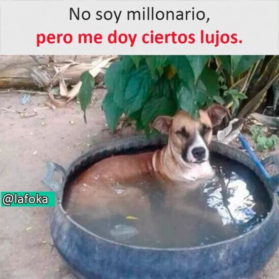 Meme_otros - A cuerpo de rey