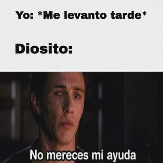 Meme_otros - Si hubiera madrugado...