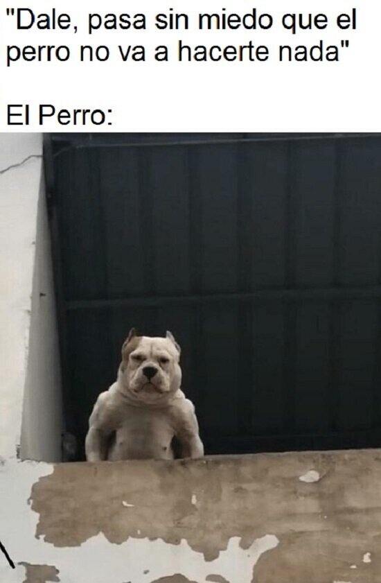 Meme_otros - Solo le gusta jugar...