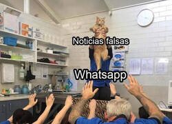 Enlace a Las fake news corren como la pólvora