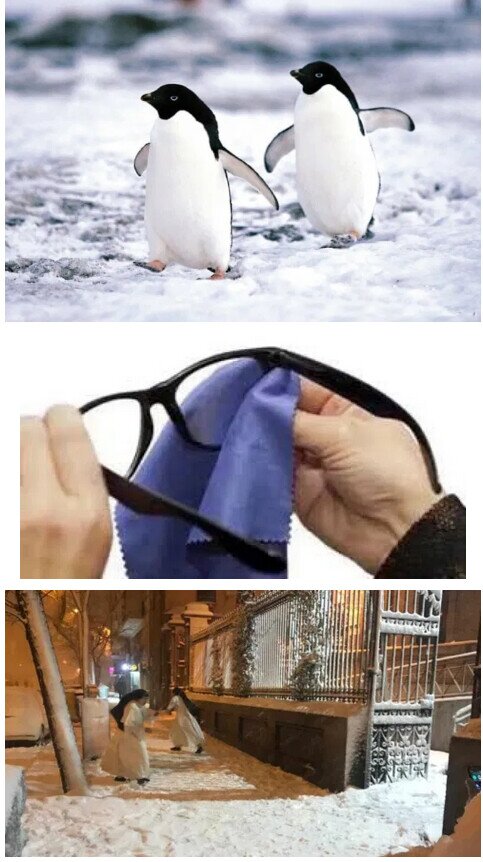 Meme_otros - Parecidos razonables