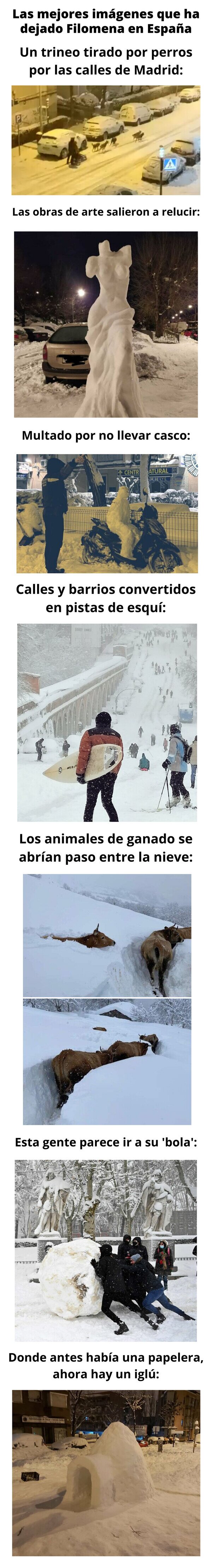 Meme_otros - Las mejores imágenes que ha dejado el temporal Filomena en España