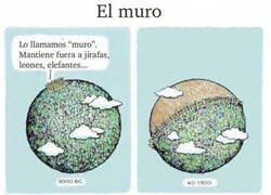 Enlace a Una historia tan triste como cierta