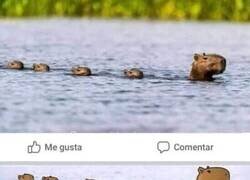 Enlace a Me gusta imaginármelo así
