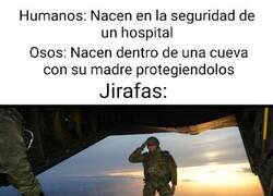 Enlace a Tan solo los sueltan y a vivir...