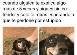 Enlace a Meper donas?