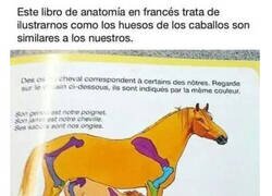 Enlace a ¿A quién se le ocurrió una ilustración así?