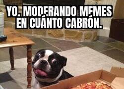 Enlace a Yo siempre le doy al F5.