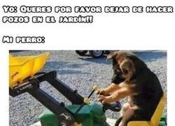 Enlace a Todo un profesional de los hoyos