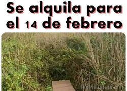 Enlace a ¿Todavía no tienes plan romántico?