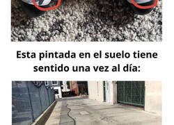 Enlace a Personas que encontraron sorpresas en lugares inesperados