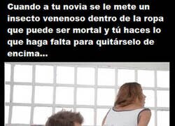 Enlace a Eso es un novio como Dios manda y lo demás son tonterías...