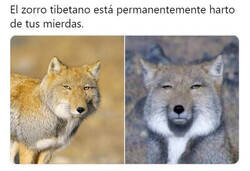 Enlace a Ni él puede soportarte