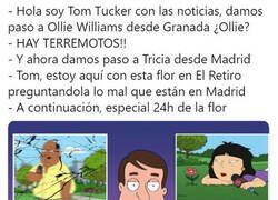 Enlace a Si no es Madrid, no interesa