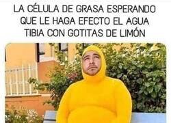 Enlace a No parece funcionar