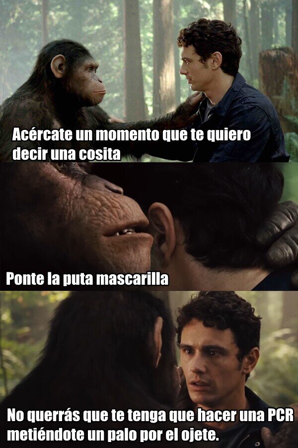Meme_otros - Sin Covid Apes...