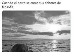 Enlace a Se pone profundo