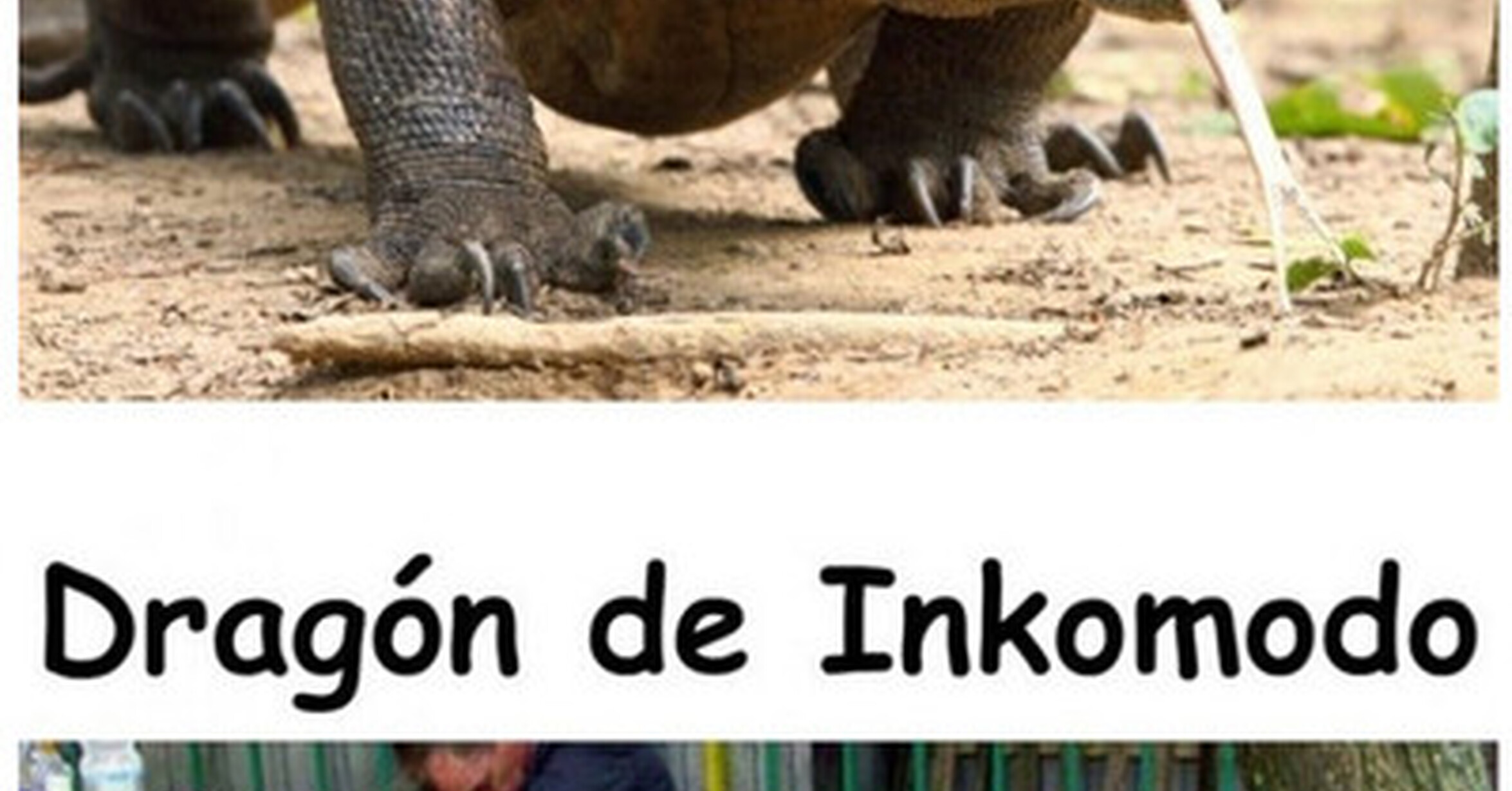 Cuánto cabrón / Diferentes tipos de dragón